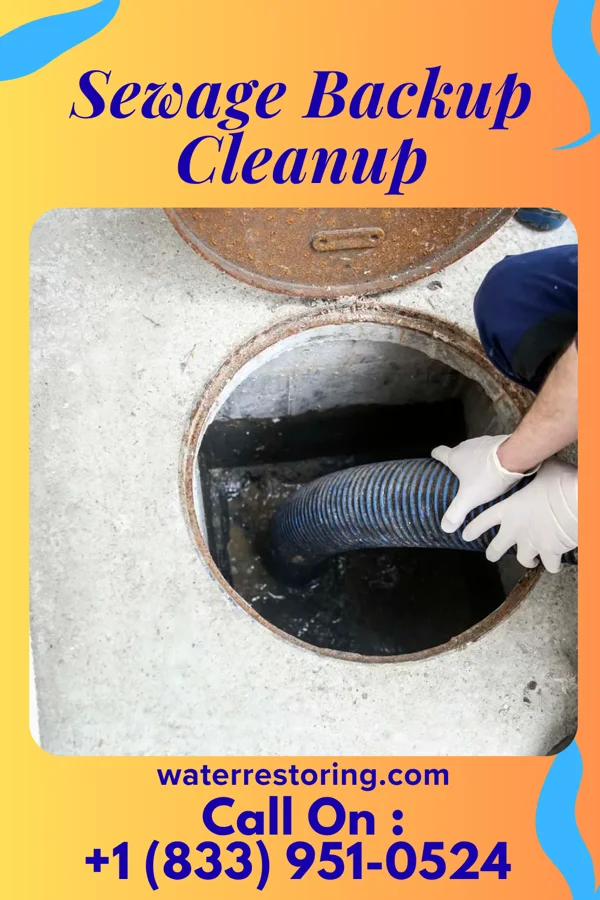 Sewage Backup Cleanup in Osceola, IA